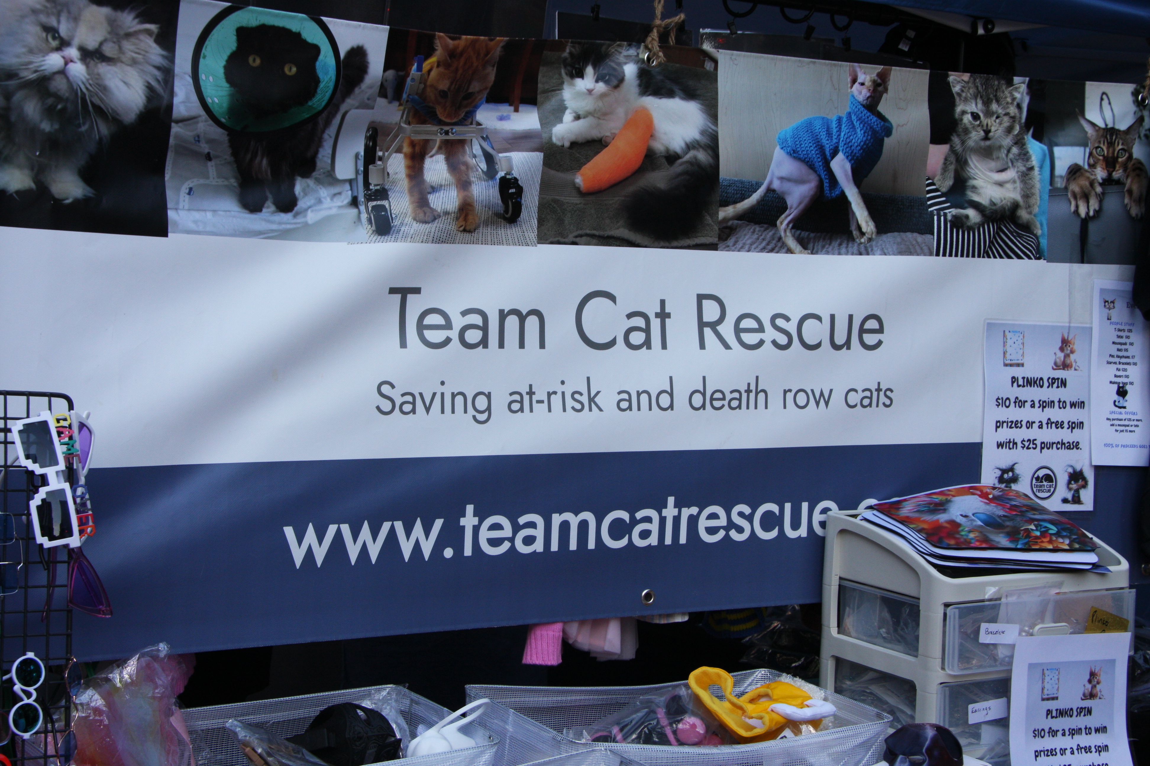 A Team Cat Rescue banner reading "Saving at-risk and death row cats," topped with photos of rescued cats, including ones in a wheelchair cart and a knitted sweater.