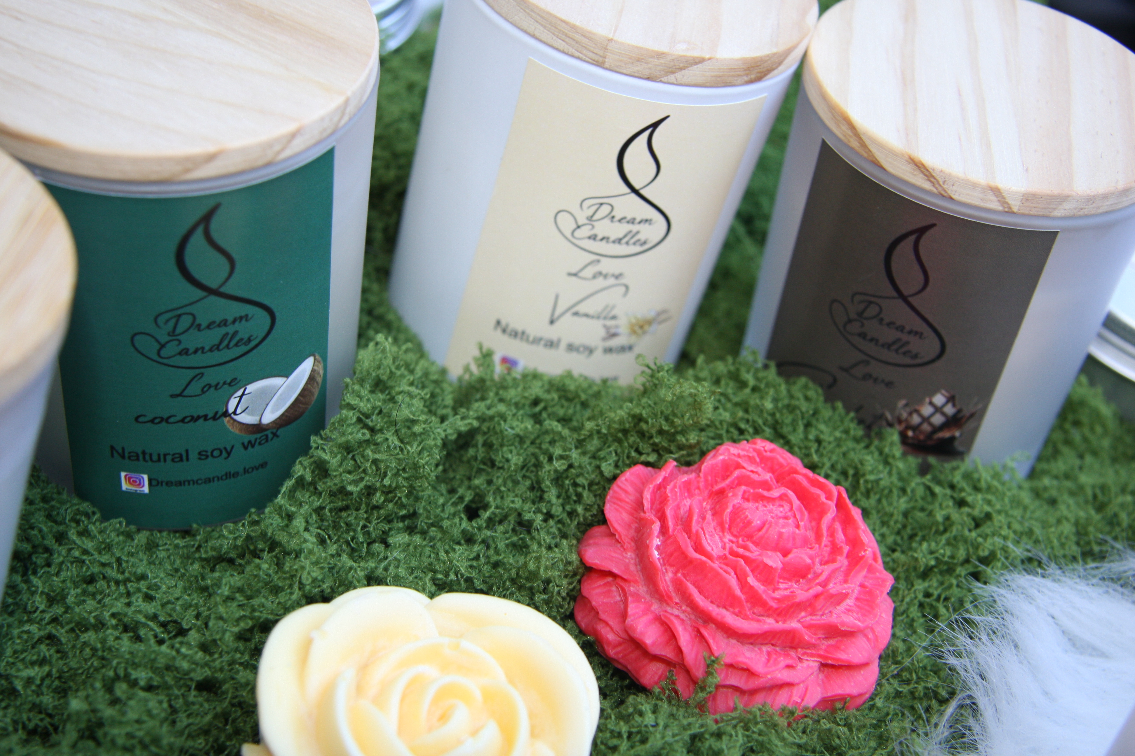 Dream Decor Candles' soy wax candles in coconut, vanilla, and chocolate scents displayed on a moss backdrop.